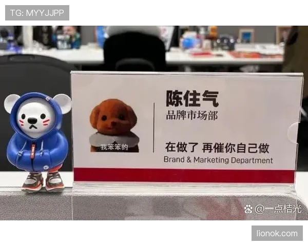 杨倩家的冰箱贴比我的工资还贵？